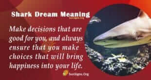 shark dream meaning