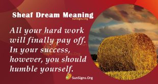 Sheaf Dream Meaning