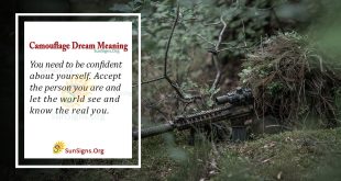 Camouflage Dream Meaning