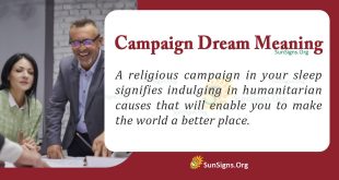 Campaign Dream Meaning