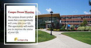 Campus Dream Meaning