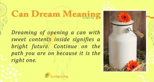 Can Dream Meaning