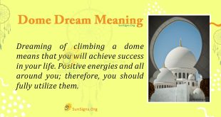 Dome Dream Meaning