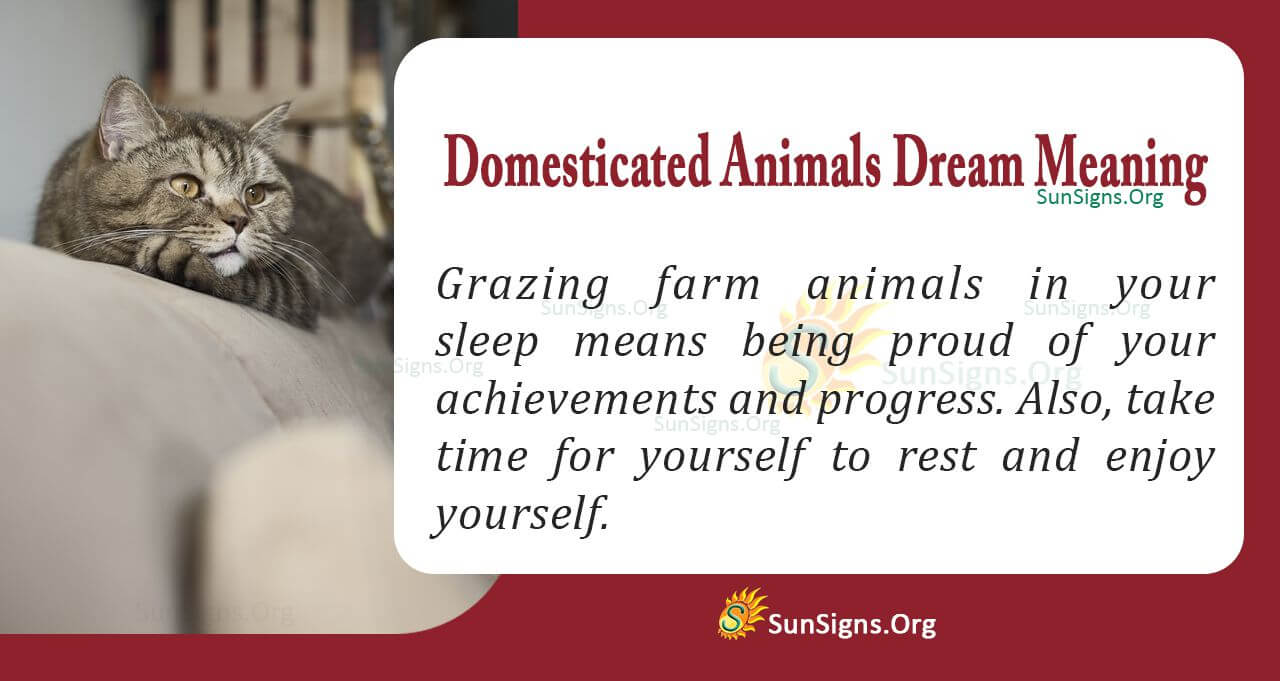 seeing-domestic-animals-in-your-dream-meaning-interpretation-and