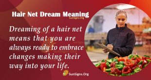 Hair Net Dream Meaning