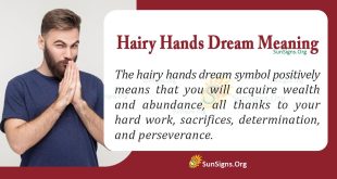 Hairy Hands Dream Meaning
