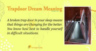 Trap door Dream Meaning