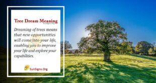 Tree Dream Meaning