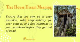 Tree House Dream Meaning