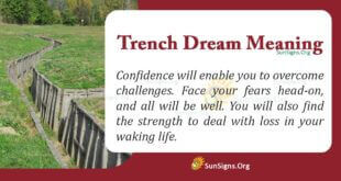 Trench Dream Meaning