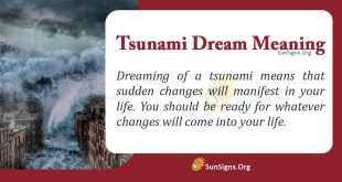 Tsunami Dream Meaning