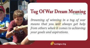 Tug Of War Dream Meaning