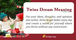 Twins Dream Meaning