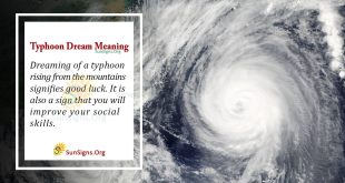 Typhoon Dream Meaning