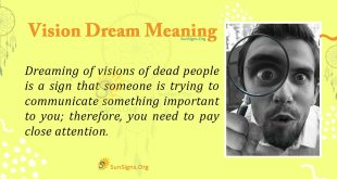 Vision Dream Meaning