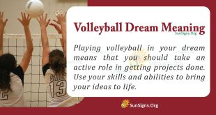 Volleyball Dream Meaning