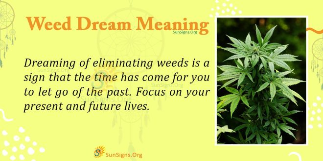 Weed Dream Meaning