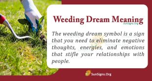 Weeding Dream Meaning