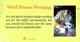 Weld Dream Meaning