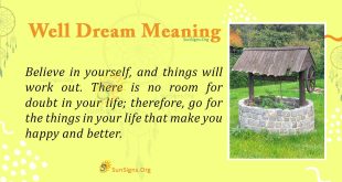 Well Dream Meaning