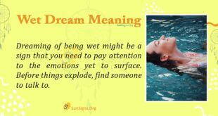 Wet Dream Meaning