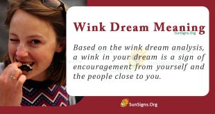 Wink Dream Meaning