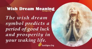 Wish Dream Meaning