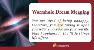 Wormhole Dream Meaning