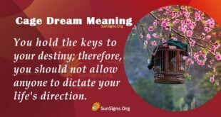 Cage Dream Meaning