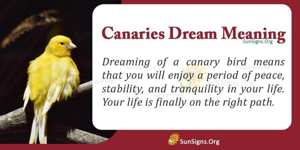 What Is The Meaning Of A Canary Bird Dream? Interpretation And Symbolism