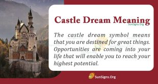 Castle Dream Meaning