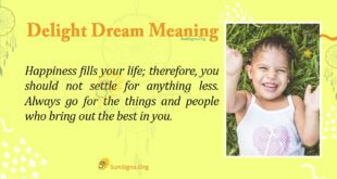 Delight Dream Meaning