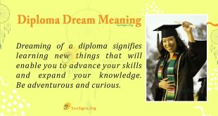 Diploma Dream Meaning