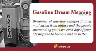 Gasoline Dream Meaning