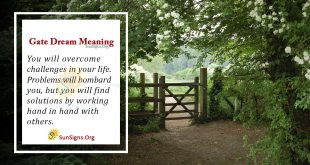 Gate Dream Meaning