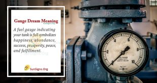 Gauge Dream Meaning