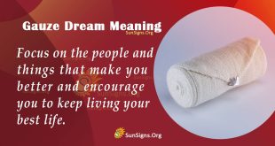 Gauze Dream Meaning