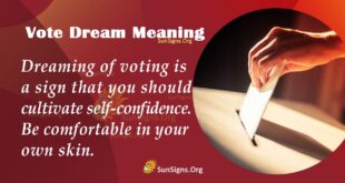 vote dream meaning