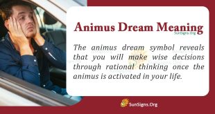 Animus Dream Meaning