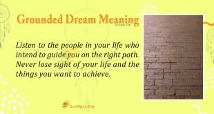 Grounded Dream Meaning