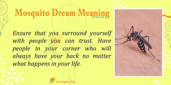 Mosquito Dream Meaning