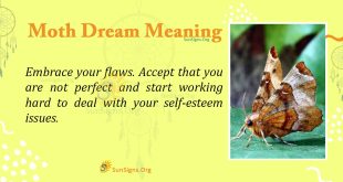 Moth Dream Meaning