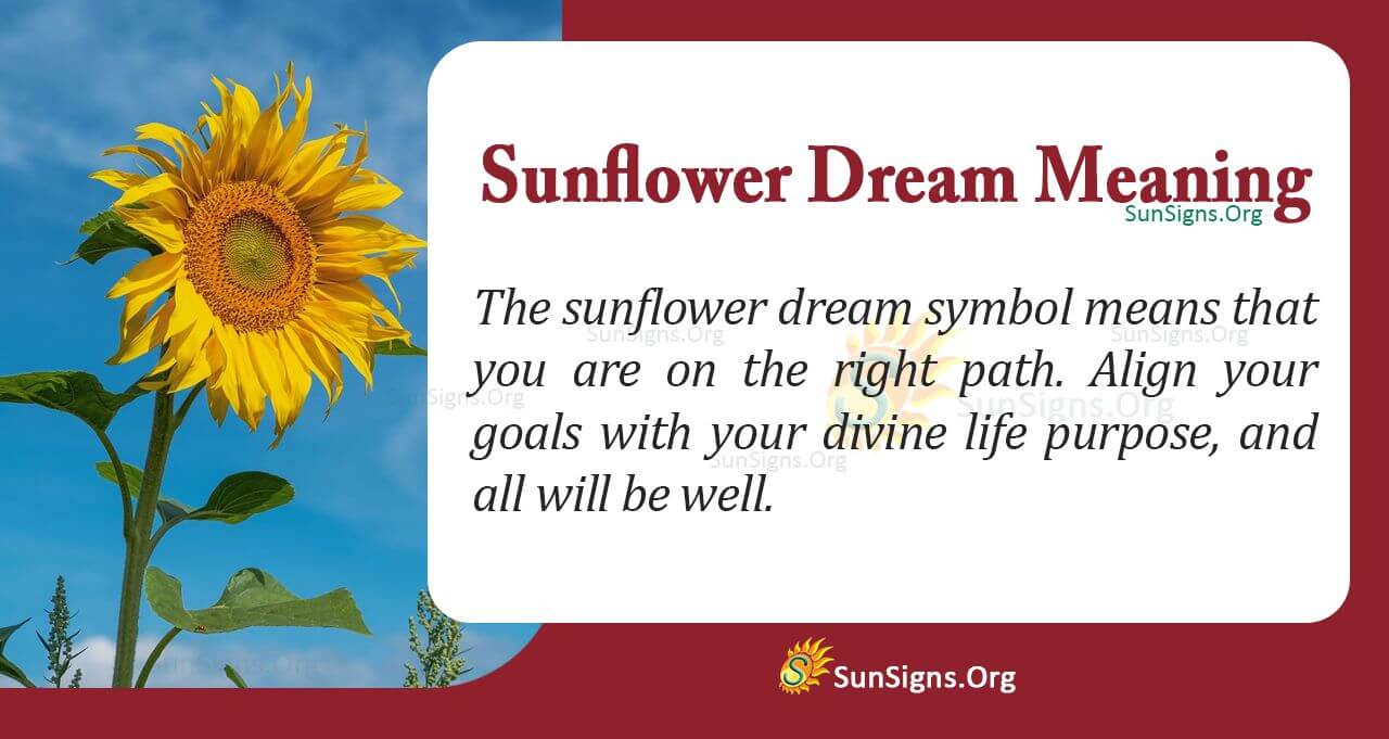 What Does It Mean to Dream of Sunflowers? Interpretation and Symbolism