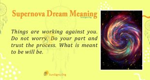 Supernova Dream Meaning