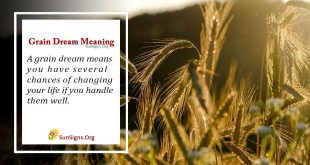 Grain Dream Meaning