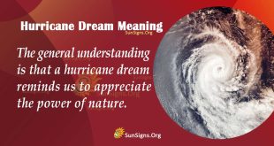 Hurricane Dream Meaning