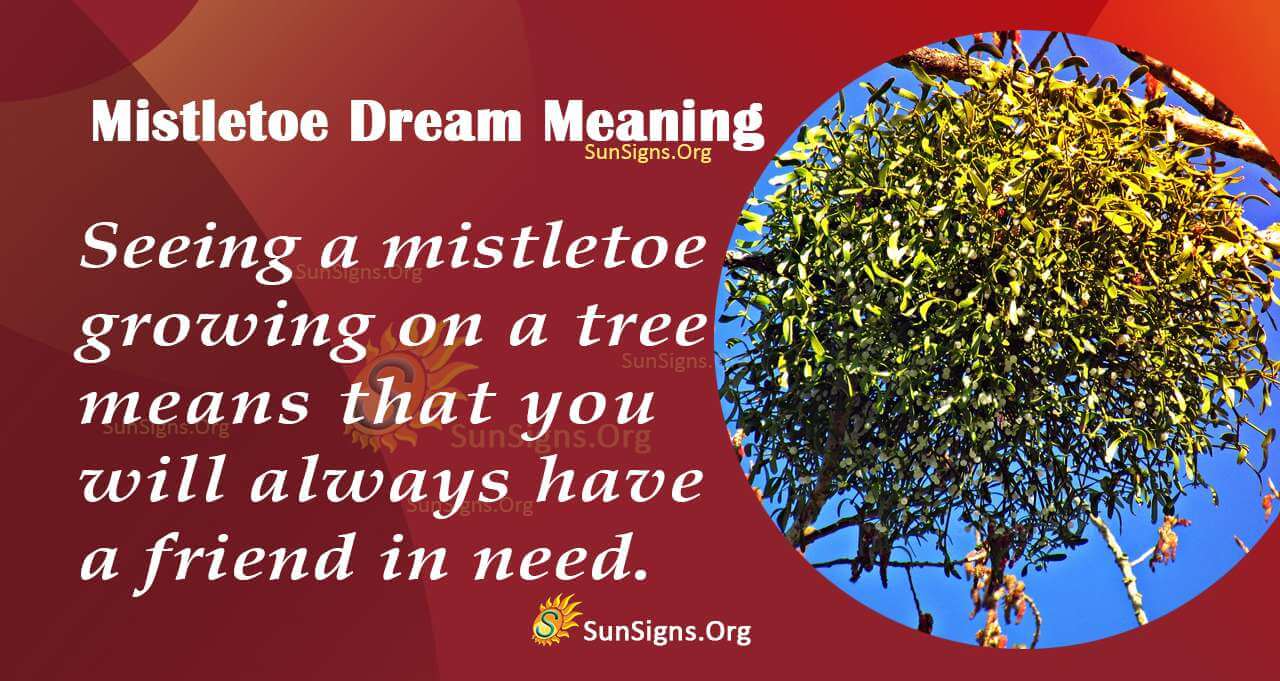 Mistletoe Dream Symbol Meaning Interpretation And Symbolism Sunsignsorg 1052