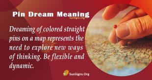 Pin Dream Meaning