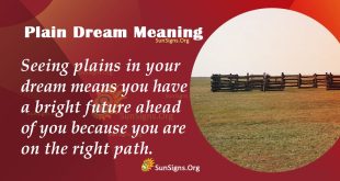 Plain Dream Meaning