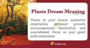 Plants Dream Meaning